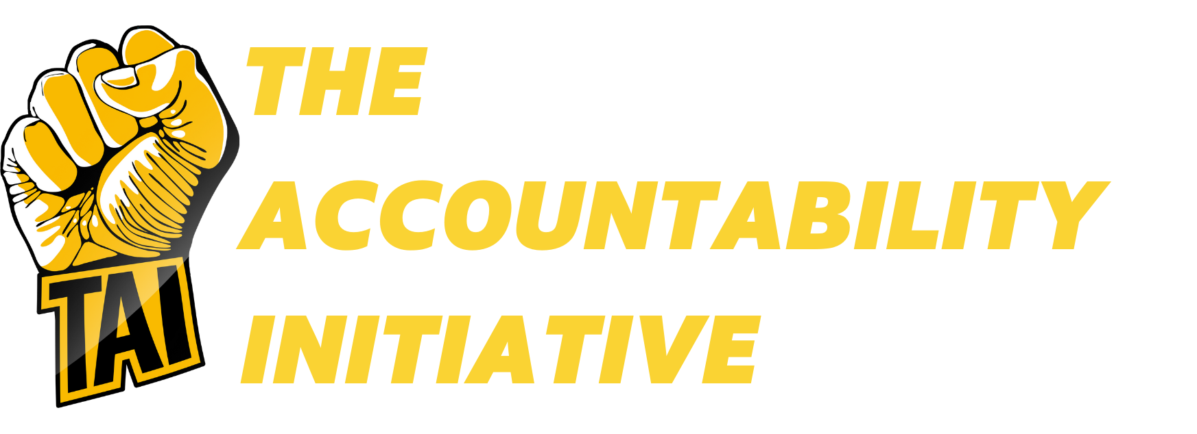 The Accountability Initiative